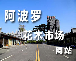 更多網(wǎng)站